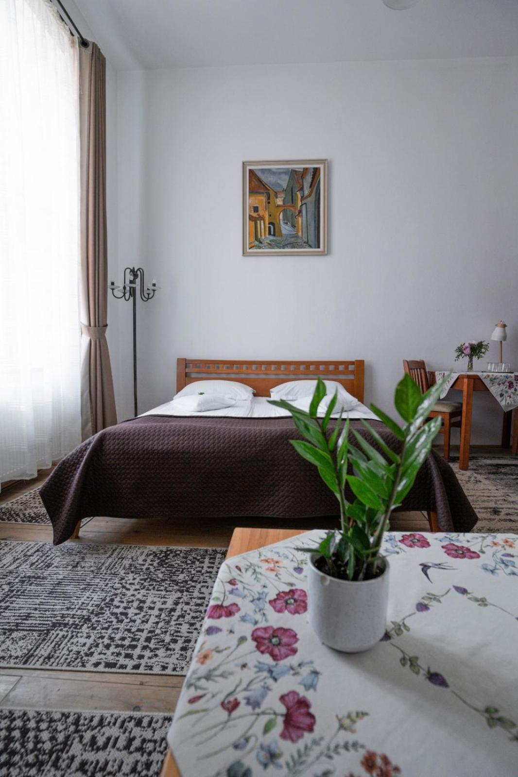 Pensiunea Gasthaus Alte Post Sighişoara Exterior foto