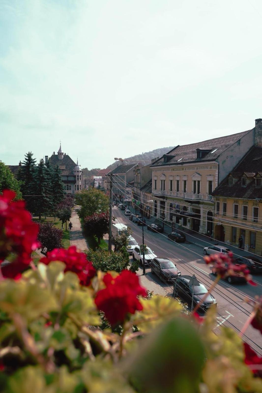 Pensiunea Gasthaus Alte Post Sighişoara Exterior foto
